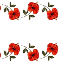 anemone-Nitsa - PNG gratuit