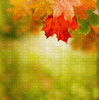 garden jardin branch leaves  feuillage feuilles   background  fond   autumn automne herbst  gif anime animated animation brown forest wald forêt fall laub blätter