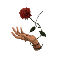 Rose gothique - PNG gratuit