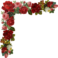 Corner. Rose. Red. Leila - 無料のアニメーション GIF