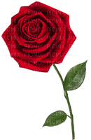 red rose Bb2 - png gratis