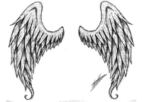 asas de anjo-l - png gratis