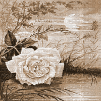 Y.A.M._Vintage background Sepia - Bezmaksas animēts GIF
