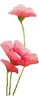 flowers_ gif - Бесплатный анимированный гифка