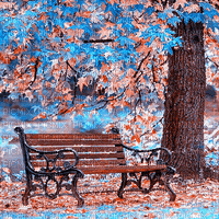 soave background animated autumn park - GIF animate gratis