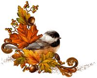 fågel-höstblad-autumn leaf--bird - бесплатно png