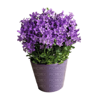 Fleurs.Pot.Vase.purple.Plants.Victoriabea - zdarma png