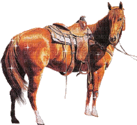 horse Nitsa P - Бесплатни анимирани ГИФ