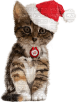 Kaz_Creations Cats Cat Kittens Kitten  Christmas - zadarmo png