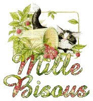 mille bisous - Free animated GIF
