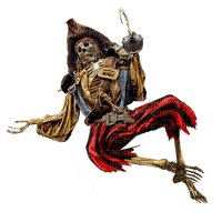 Kaz_Creations Pirate Skeleton