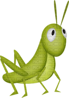 green-frog-groda-animal-minou52 - gratis png