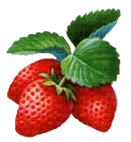 fraise - gratis png