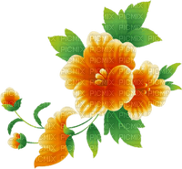 All my lovely flowers - δωρεάν png