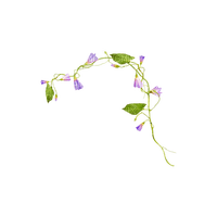 kikkapink deco scrap purple flowers ivy - darmowe png