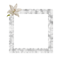 Small White Frame - Безплатен анимиран GIF