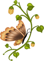 бабочка на стебле - darmowe png