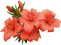 lilies by nataliplus - kostenlos png