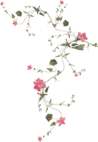 Pink green flowers leaves deco [Basilslament] - darmowe png