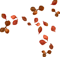 soave deco autumn leaves animated branch - Kostenlose animierte GIFs