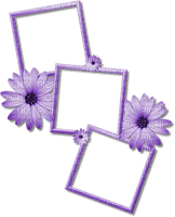 Frame flowers 🏵asuna.yuuki🏵 - PNG gratuit