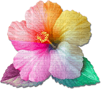 soave deco flowers summer tropical  rainbow - zadarmo png