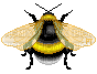 fat bumble bee pixel art - png gratuito