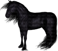 blck horse3 - PNG gratuit