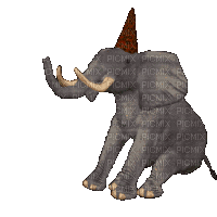 Birthday Elephant - Free animated GIF