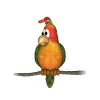pájaro ...gif - Zdarma animovaný GIF