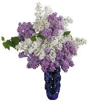 Bloemen en planten - Ingyenes animált GIF