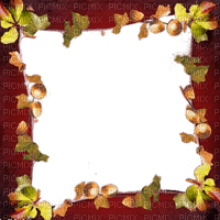 autumn leaves frame - png grátis