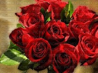 rosesin red - gratis png