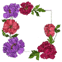 kikkapink summer frame flowers animated - Besplatni animirani GIF