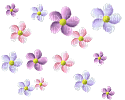 Fleurs animées - Zdarma animovaný GIF