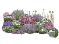 flower plant garden - png ฟรี