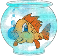 fish bowl bp - Zdarma animovaný GIF