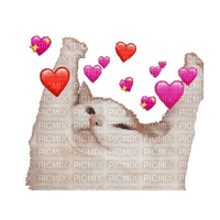 Wholesome cat meme - Free PNG