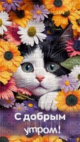 cat and flowers - PNG gratuit