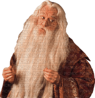 Harry Potter milla1959 - 免费PNG
