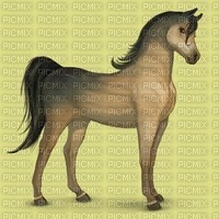 cheval Vénus - δωρεάν png