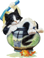 chat cat - Free animated GIF