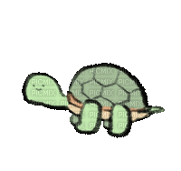 Green Turtle - Gratis animerad GIF