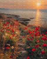 flowers sunset beach path background - Free PNG