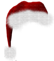 maj bonnet  Noël - darmowe png