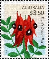 Australian native flowers bp - gratis png