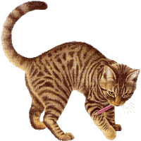 chat et crayon - Besplatni animirani GIF