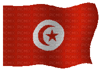 علم تونس يرفرف - Δωρεάν κινούμενο GIF