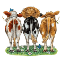 vaches - Free PNG