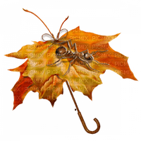 Autumn - 免费PNG
